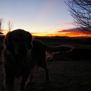 Meet your Posher, Elle